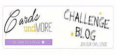cardsundmorelogo_challengeblog_banner